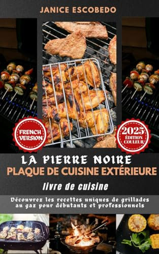 LA PIERRE NOIRE PLAQUE EXTÉRIEURE LIVRE DE CUISINE: Découvrez les recettes uniques de grillades au gaz pour les débutants et les professionnels