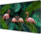 JIALONG Alfombrilla Ratón Gaming, XXL Mouse Pad, Grande Alfombrilla Escritorio Multifuncional 900x400mm