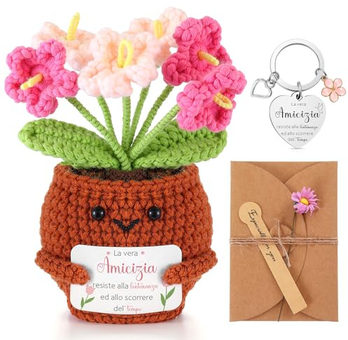 Skylety 3 Regali per Amica Sorella Maestra Piante in Vaso Lavorate a Maglia Portachiavi Biglietti di Auguri con Fiori Secchi Regalo di Ringraziamento per Natale Compleanno(Amicizia)