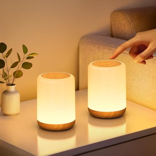 VIWAVE Night Light with 256 RGB & Timer,2 Packs Dimmable Baby Night Light Kids with Memory,Rechargeable Bedside Lamps Touch Battery Lamp,Toddler Portable Nightlight for Adults,Children,Bedroom,Camping