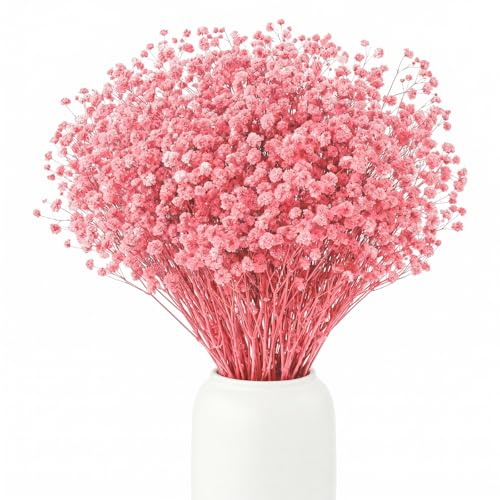 BOSONER Pampasgras Trockenblumen Schleierkraut Getrocknet: Ewige Blumenarrangements Pflegefreie Trockenblumenstrauß Für Hochzeits Deko Schlafzimmer Home Decoration Vase Basteln 120 Gramm (Rosa)