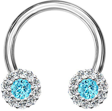 Piercingfaktor Piercing Hufeisen Horseshoe Kristall Glitzer Blüten Septum Tragus Helix Ohr Nase Lippe Nasenpiercing Ring Silber Aqua