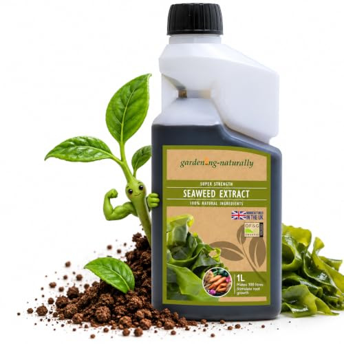 Seaweed Liquid Fertiliser Plant Food for Fruit, Vegetables or Flowers Natural and Organic Plant Feed 1 Litre Makes 100 Litres
