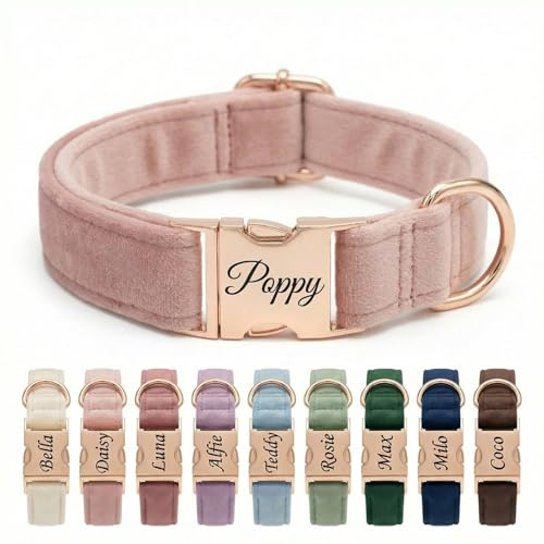 Personalised Velvet Dog Collar UK – Engraved Gold Buckle, Luxury Padded Soft Collar for Small Medium Large Dogs | Custom Name ID Tag, 18 Colours Available | Blush Pink