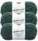Lion Brand Heartland Yarn-Kings Canyon