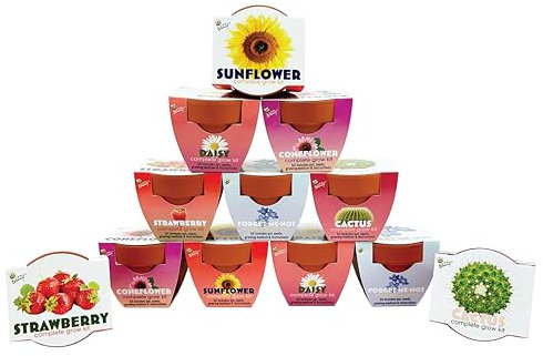 BUZZY Saatgut-Terracotta-Mini-Wachstumstöpfe für Kräuter, Pflanzen, Blumen, Starter-Set für Kinder und Erwachsene, sortiert, 12 Stück, klassische Kollektion, garantiert wachsen, tolles Geschenk für