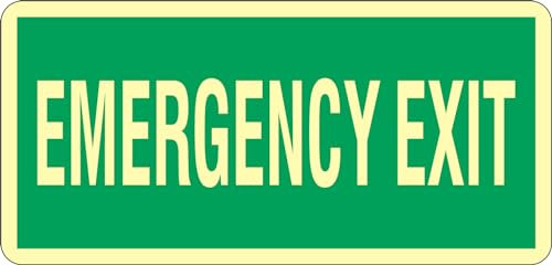 GLOBAL CARTELLO SEGNALETICO LUMINESCENTE UNI - EMERGENCY EXIT - Adesivo Luminescente O Pannello Rigido Luminescente (Pannello Rigido, 60x25)