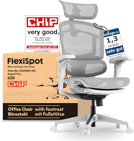 FLEXISPOT ErgoX Pro Chaise de Bureau Ergonomique avec Repose-Pieds, Réglage en Hauteur à 12 Niveaux, Accoudoirs 7D, Soutien Lombaire 5D, Appui-tête 4D, Charge 250 kg et Assise Maille Respirante,Gris