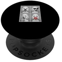 Hunde Fotobox Meme lustiges Pudel Hund PopSockets Klebender PopGrip