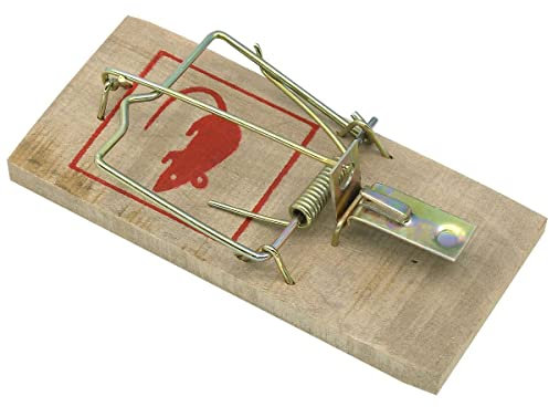 Fackelmann 16011 Lot de 2 pièges à souris et rats en bois, pièges à rats, tapette à souris, Bois, Acier inoxydable, 10 cm