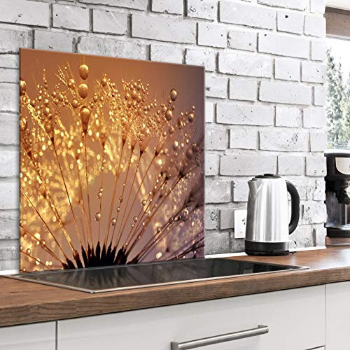 murando Glass Splashback for Kitchen Backsplash Cooker Protector Tempered Glass Decorative Wall Art Panel Heat Resistant Graphic 60x60 cm / 24x24 Dandelion Waterdrops Sunlight b-B-0429-aq-a