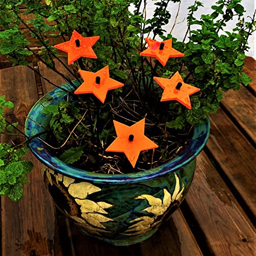 suncatcher Gartendekoration Ornamente Leuchtende Sterne 5er Set dekorative Gartenpfähle 25cm Hoch Tolles Feier Gärtner Geschenk, Farbe:rot