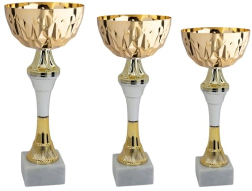 Hole Gadget Tris di Premiazioni Personalizzate Economiche Coppe e Trofei Sportivi con Targhetta Inclusa Premio per Tutti Gli Sport e Riconoscimento o Fantacalcio (13.599)