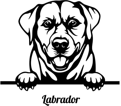 Autoaufkleber/Sticker/für Innen und Außen 28 cm schwarz Hund Labrador Retriever 06