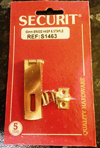 Brass HASP & STPL 2 1/2 S1463