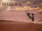 Namibia 2021 - Foto-Kalender - Poster-Kalender - 64x48 - Wildnis - Natur - Reisen
