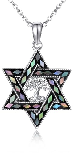 DAYLINLOVE Chaîne étoile de David en argent sterling 925 - Arbre de vie - Pendentif coquillage d'ormeau - Collier hexagonal - Étoile juive - Bijoux religieux - Cadeau pour homme, femme, fille, Argent