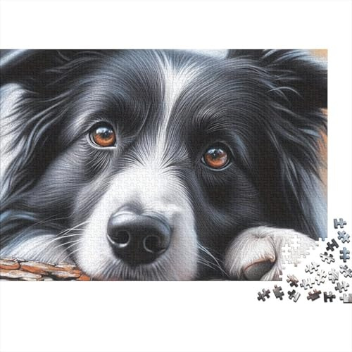1000 Teile Puzzle Border Collie Porträt, Bunter Border Collie Porträt Wohnzimmer Dekoration, Entspannung Puzzle für Männer & Frauen, Herausforderndes Puzzle, 70x50cm/1000pcs