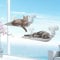 Katzen Fensterliege, 2er Set Katzenbett Fenster 52x30cm, Hängematte Katze Fenster mit 6 Saugnäpfen, Klappbare Katzenliege Fenster für Große Katzen bis 30kg, Fensterbrett Katzen Hängematte