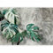 murando - Papier peint panoramique nature 350x256 cm - Revêtement mural décoration pour chambre salon - Design unique et moderne - Vert gris - Arrière plan feuilles plante texture b-C-0893-a-a