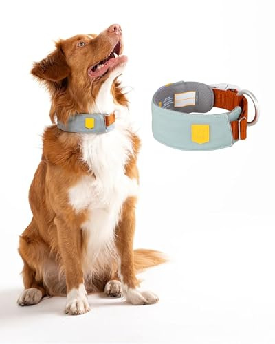 Woolly Wolf Alpha 360 Halsband für große Hunde Gr. XL Gletschergrün - Nachhaltig & bequem, Reflektierend für erhöhte Sicherheit bei schlechter Sicht