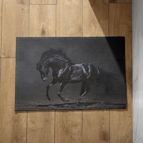 Isdreem Fußmatte Terrassentür V.I.P Türmatte Pferd Schmutzfangmatte Nach Maß Türmatte Innen Lustig rutschfeste, Leichte Dekorationsmatten Aus Plüschbaumwolle, 50x80cm