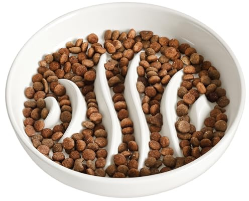PETTOM Gamelle Anti Glouton Chat Céramique | Anti Vomissement, Manger Lentement (Blanc, Poisson)