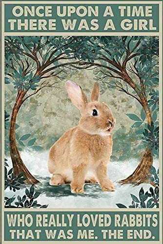 Wandschild Rustikale Abstellgleis-Werbung Des Neuen Jahres-Osterhasen Blechschild Personalisierte Bade Wand Dekoration Für Geschenk Geburtstag Garten,20X30Cm