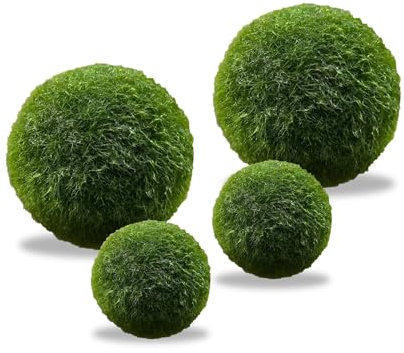 LuckyOpt Lot de 4 boules d'algues vertes vivantes pour aquarium, décorées avec des boules d'algues vertes, 2 tailles, vertes