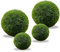 LuckyOpt Lot de 4 boules d'algues vertes vivantes pour aquarium, décorées avec des boules d'algues vertes, 2 tailles, vertes
