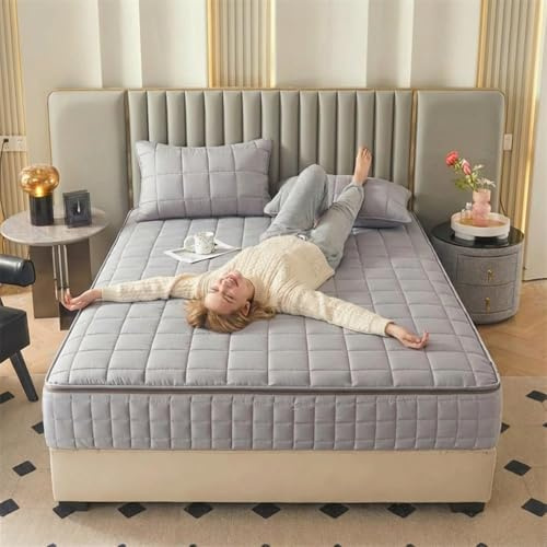 Fodera Materasso con Cerniera Integrale, Coprimaterasso Matrimoniale Singolo Trapuntato, Sacco Proteggi Materasso Imbottito Totale con Zip Robusta, Personalizzabile(Grigio,160x190x20cm)