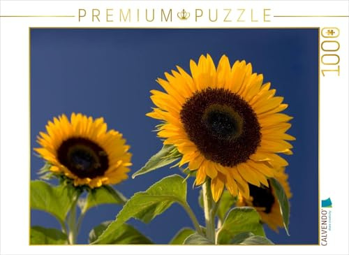 CALVENDO Puzzle Sonnenblumen | 1000 Teile Lege-Größe 64 x 48 cm Foto-Puzzle für glückliche Stunden