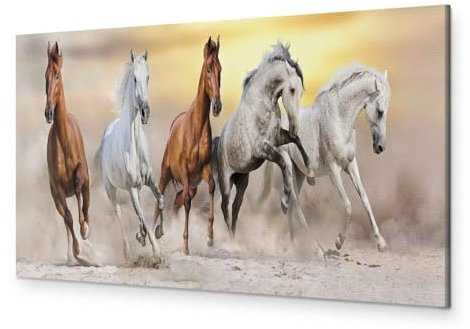 murando - Leinwand Bilder Tiere 120x40 cm Vlies Leinwandbild 1 tlg Kunstdruck modern Wandbilder XXL Wanddekoration Wandbild Wohnzimmer Wand Bild Panoramabild - Pferde Galopp Steppe g-C-0224-b-a