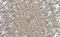 QEETapete Papier Peint Panoramique Motif Floral À Effet Gaufré Papier Peint Nature Intissé Murale Chambre Salon,350x250cm