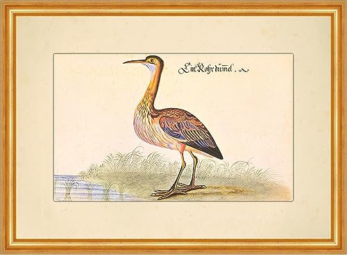 Biller Antik UN Dummel Tubo Pompino Viola Uccello Acquario Leonhardt Baldner 007 Incorniciato