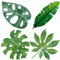 GORGECRAFT 4Stk Palmblätter-Fensteraufkleber 16cm Monstera-Blatt-Fensteraufkleber Tropische Pflanzenblätter-Aufkleber Statisch Abnehmbare Wasserfeste Vinylfolie Federaufkleber Um Vögel Verhindern