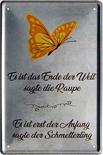 Es ist das Ende sagt Raupe der Anfang sagt Schmetterling 20x30 Blechschild 294