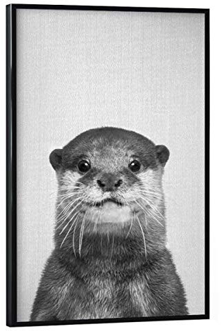 artboxONE Poster mit schwarzem Rahmen 60x40 cm Für Kinder Otter - Black & White - Bild Animal Animals Baby