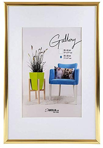 Axolia Cadre Photo 30x45 cm en plastique avec verre minéral - Décoration murale - Gallery - Or