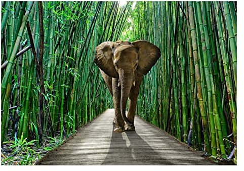 WallArena - Vlies Fototapete Elefant im Dschungel 254x184 cm - Fototapeten - Tapeten - für Wohnzimmer Schlafzimmer - Vliestapete Wandtapete Tapete 3D Effekt- inkl. Kleister - Bambus