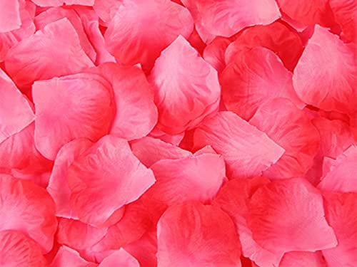 1000 Pieces Fuchsia Rose Petals, 20 Colours, Artificial Flower Confetti, Home Decorative Accessories, Ideal for Valentine’s Day Wedding Engagement Birthday Party Romantic Decoration