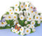 Geburtstagskarte 3D GlüCkwunschkarte Pop Up Blumen Karte Blumenkarte Geburtstagskarten Gänseblümchen Mit Umschlag GrußKarte für Frau Freundin Mutter