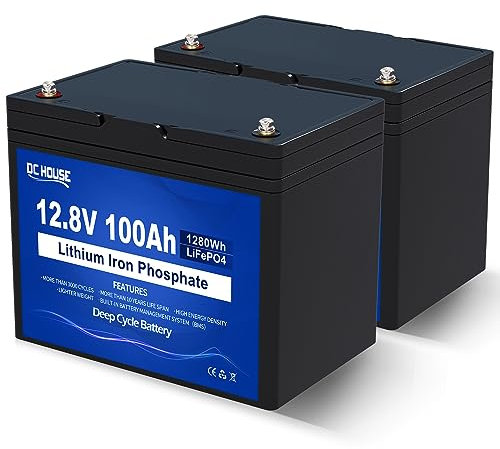 DCHOUSE 2 Pack 12V 100AH LiFePO4 Lithium Battery, Low-Temp Cut-Off, Group 31,Built-in 100A BMS, Up to 15000 Cycles Battery for Marine, Trolling Motor, Travel Trailer, Energy Storage-Off Grid, Caravans