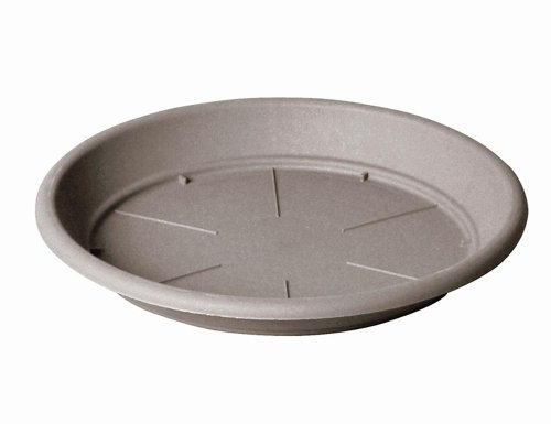 Herstera 0970 Soucoupe pour Pot de Fleurs