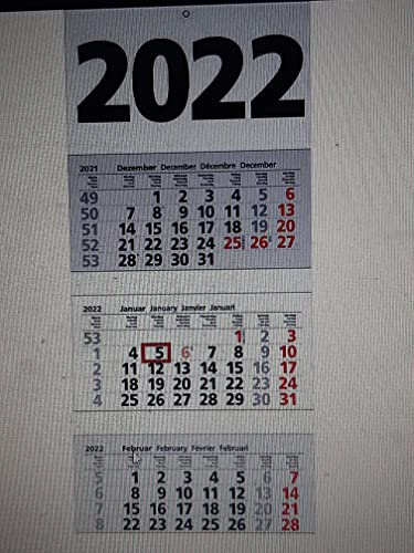 3 Monats-Wandkalender 2022 weiß/grau