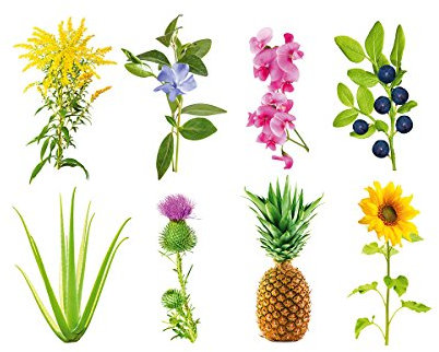 Click and Grow Smart Garden Experimental (seedless) Plant Pods, 9-Pack