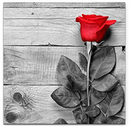 Paul Sinus Art Leinwandbilder | Bilder Leinwand 60x60cm Rote Rose auf schwarz/weißem Hintergrund