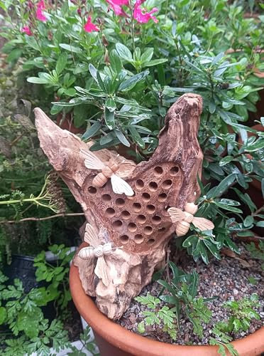 Hotel per insetti in legno di teak con api intagliate, 25 cm. Un bellissimo hotel ornamentale per insetti per il tuo giardino patio o terrazzo!