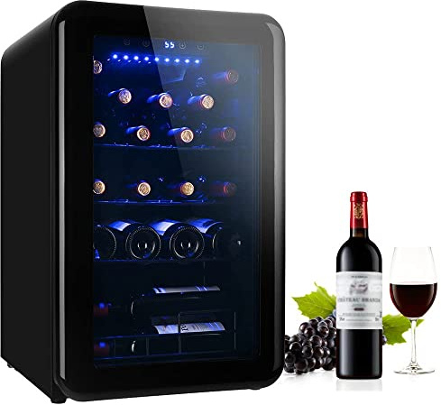 YIHANSS Compact Wine Cooler Refrigerator,Freestanding,Mini Wine Fridge,24 Bottle Capacity Wine Cooler,Champagne Chiller,Digital Temperature Control,with Professional Compressor Stainless Steel
