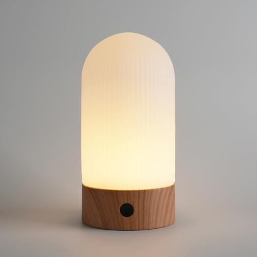 WEILAILUX Wiederaufladbare wasserdichte Duschlampe, 2700 K warme LED | Kaktus-Tischlampe, kabellos, tragbar, leicht, Touch-Dimmer, 4000 mAh-Akku, 8-72 Stunden, 180 Lumen, IP44